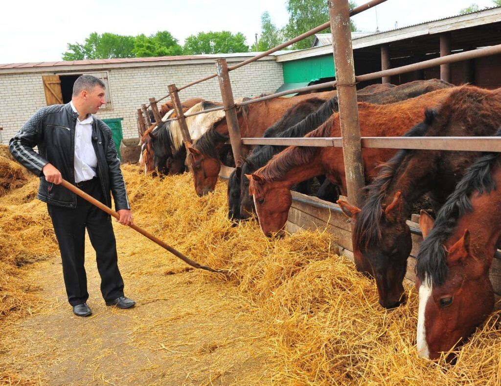 Быелга үзгәрешсез. Субсидия кемнәргә каралган?