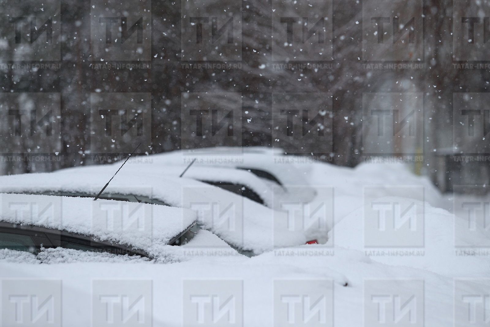 8 мартта нинди һава торышы көтелә?