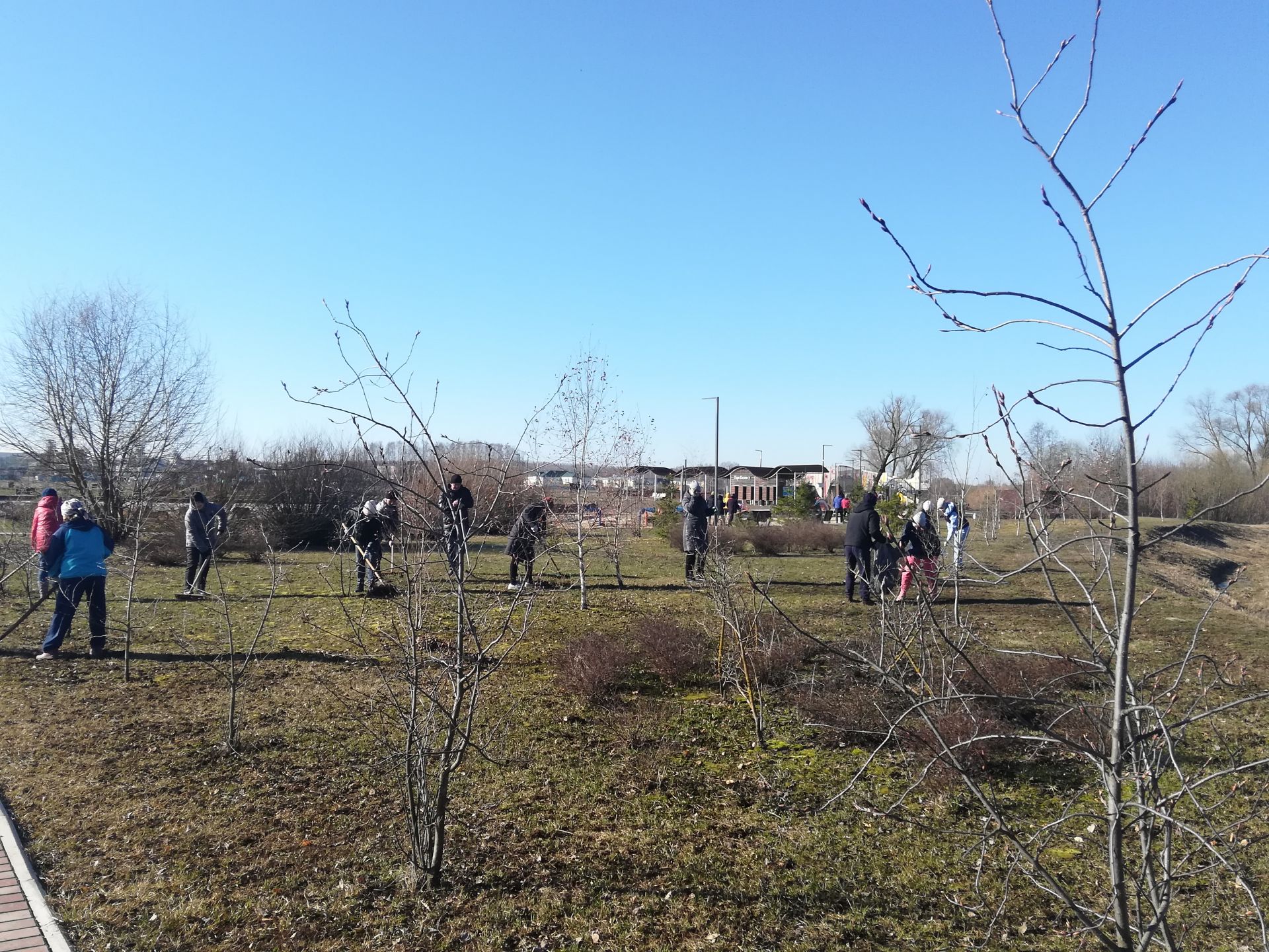Арчаның Казансу паркында өмә үтте