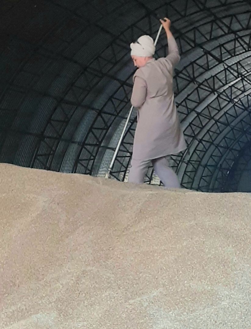 Чәчүлекләрнең беренче шытымнары каралды