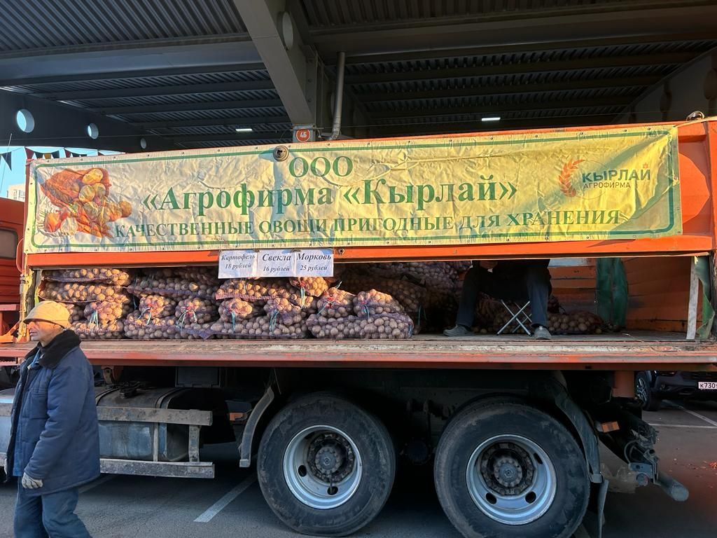 Арчалар Казан яринкәсендә