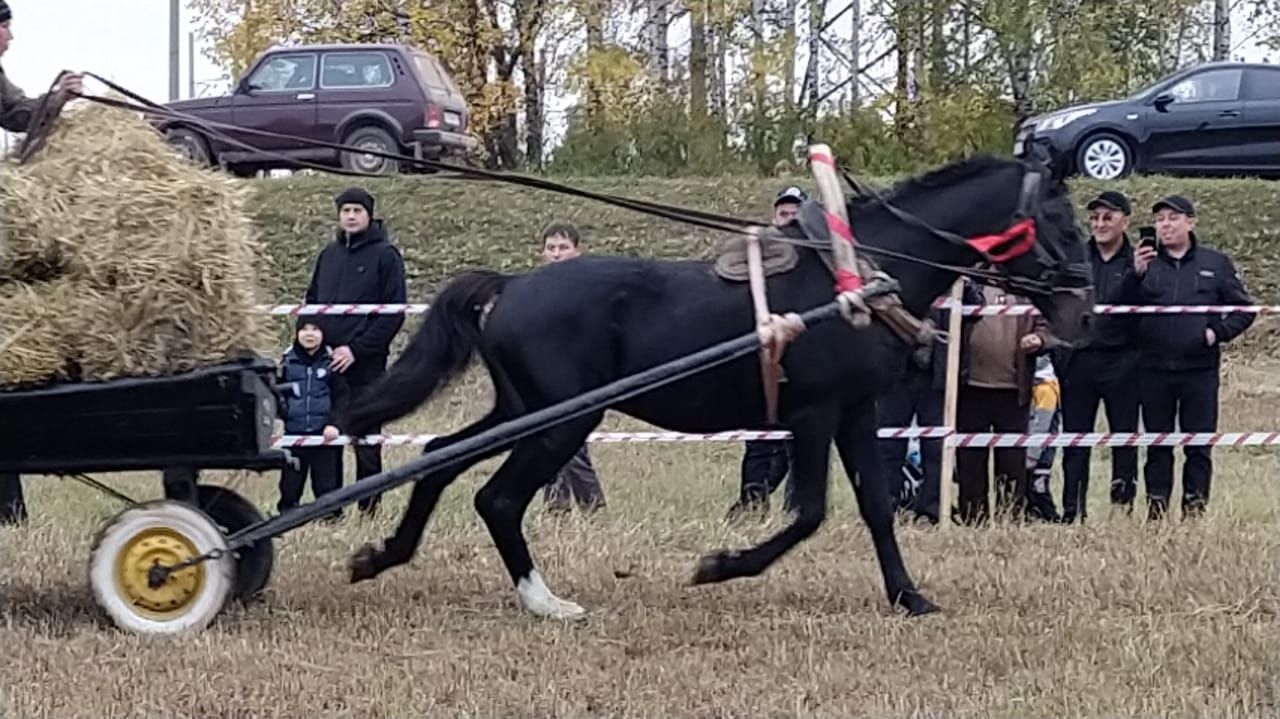 Яңа Кырлайда Ат көне узды