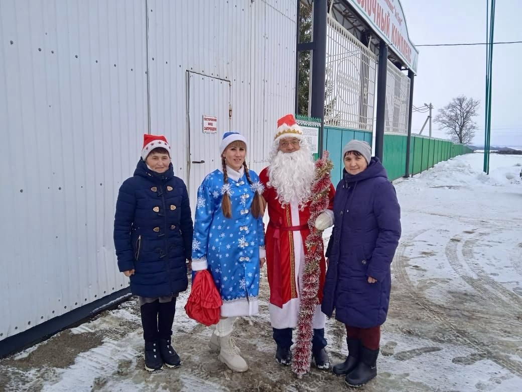 Кыш бабай белән Кар кызы фермага Яңа ел белән котларга килделәр