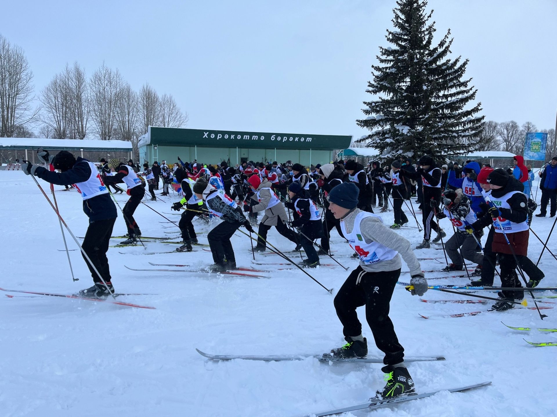 «Чаңгы юлы - 2024 ел». Ярыш нәтиҗәләре