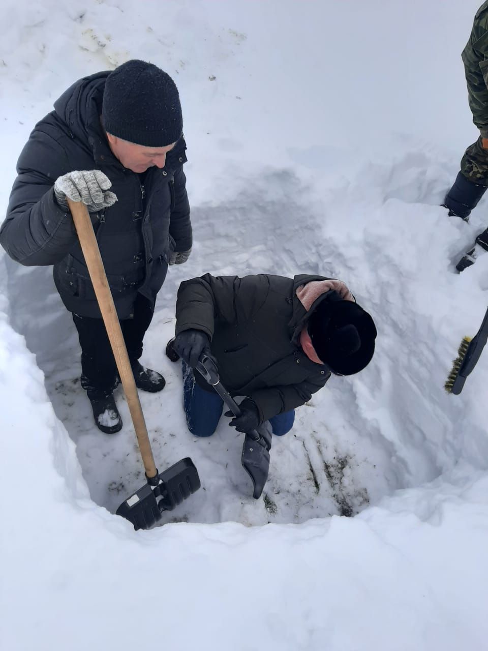 Арыш басуы тикшерелде