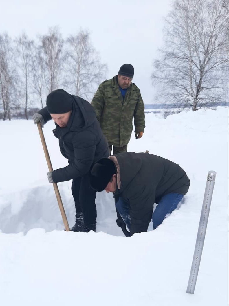 Арыш басуы тикшерелде