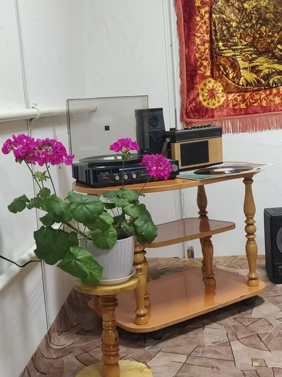 Арчада фатирник форматындагы әдәби-музыкаль чара узды