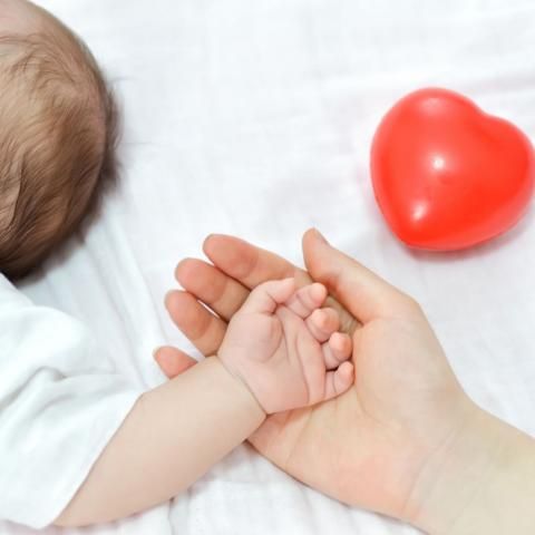 Ана капиталына машина алырга мөмкин булачак