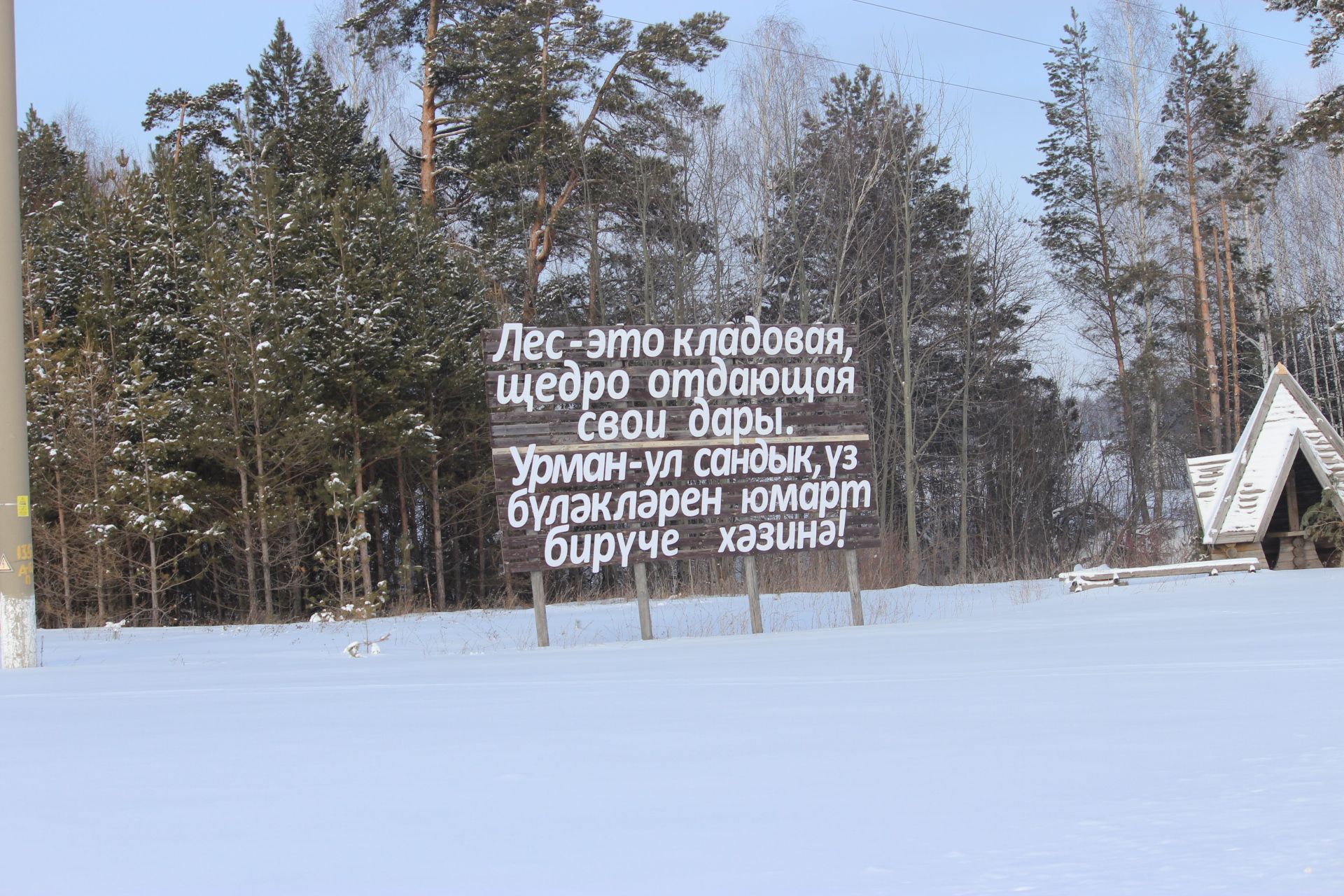 Кышкы исәп