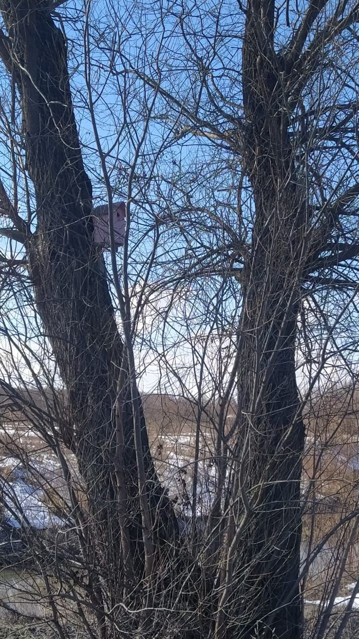 Арчаның Казансу паркында