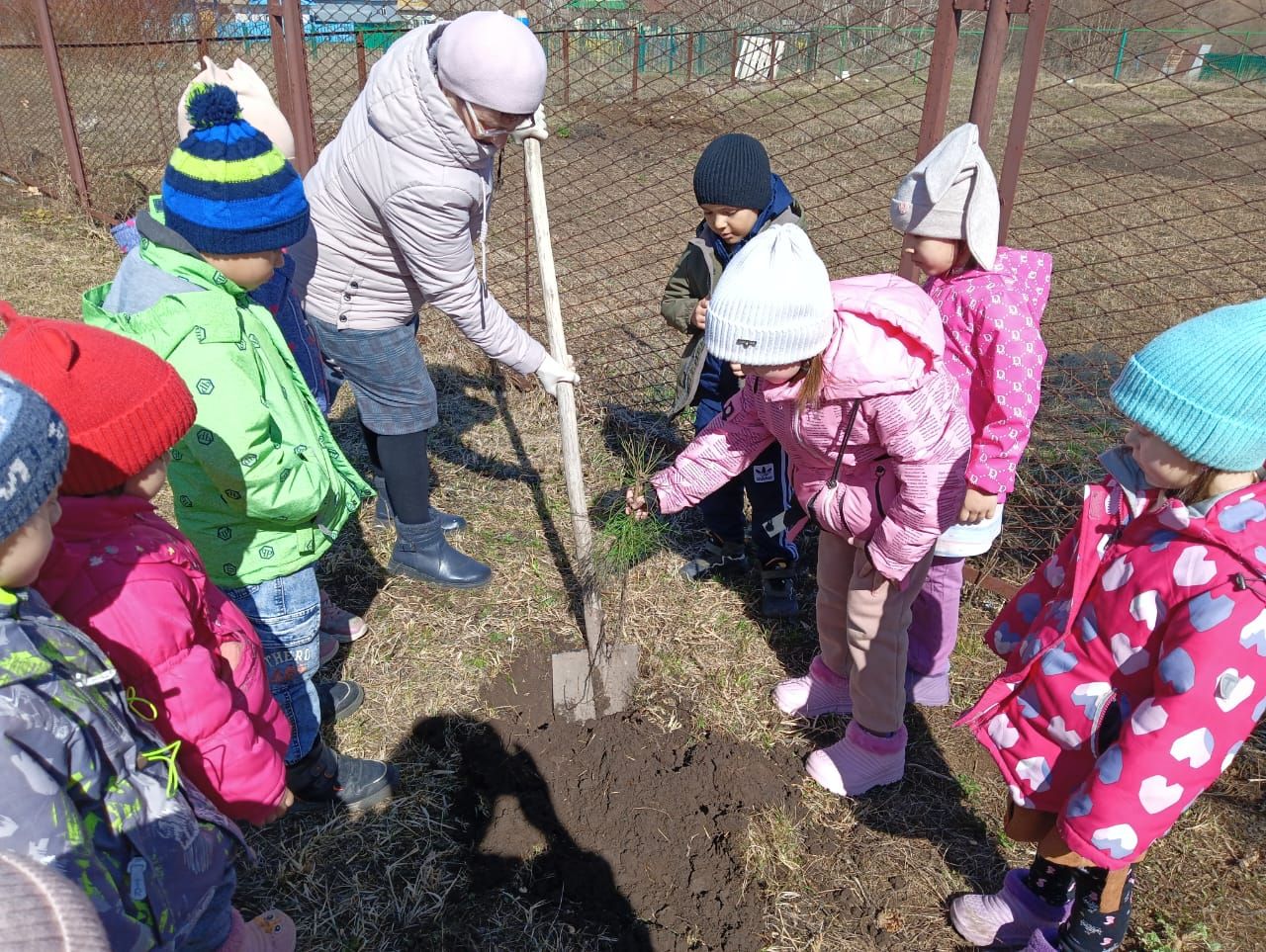 Шекә балалар бакчасына йөрүче балалар Бөек Ватан сугышында һәлак булган геройларга багышлап агачлар утыртты