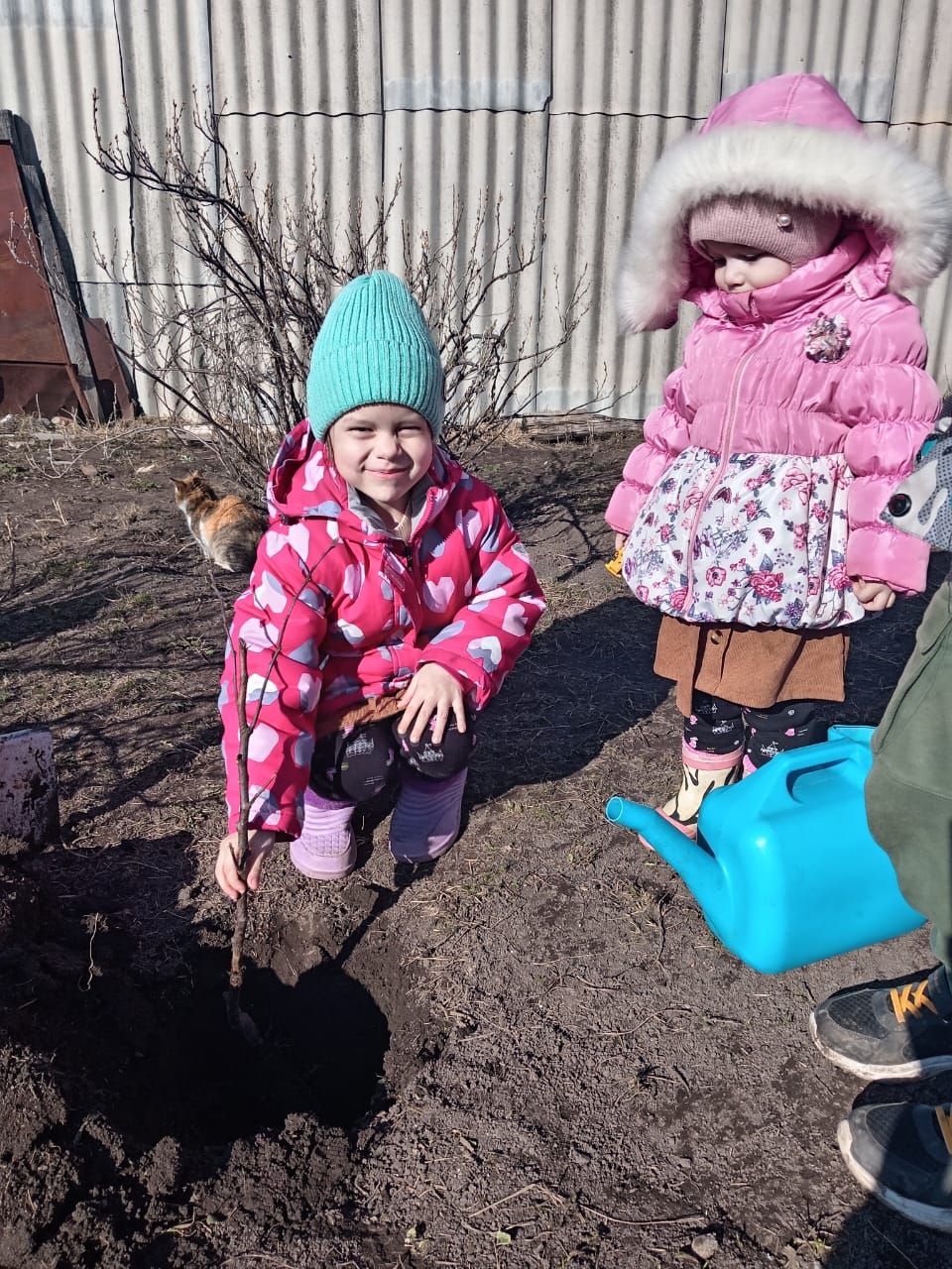 Шекә балалар бакчасына йөрүче балалар Бөек Ватан сугышында һәлак булган геройларга багышлап агачлар утыртты