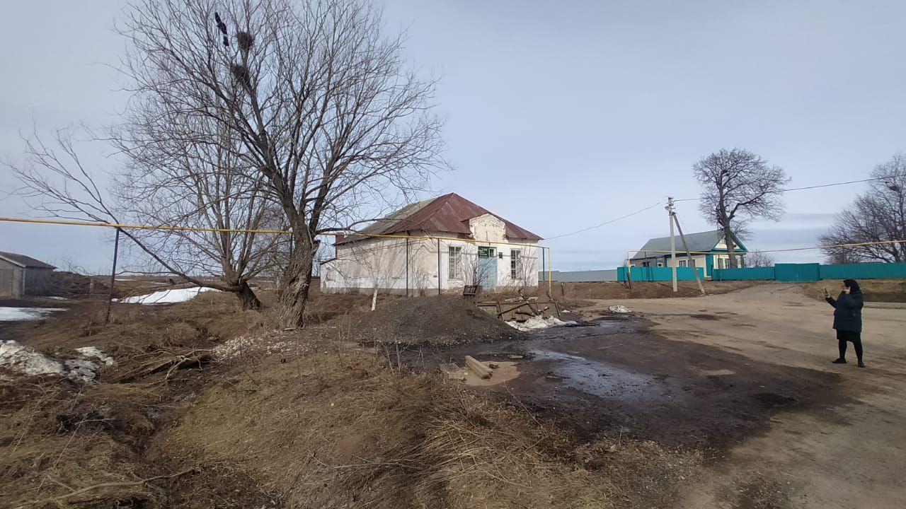 Чисталык буенча икеайлык бара