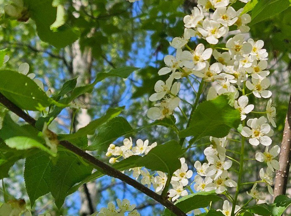Бүген көндез температура +25 градуска кадәр күтәреләчәк