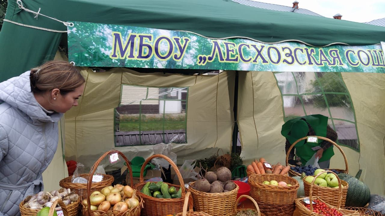 Арчада мәктәпләр ярминкәсе гөрли