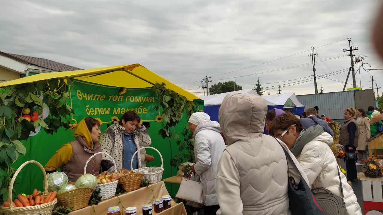 Арчада мәктәпләр ярминкәсе гөрли