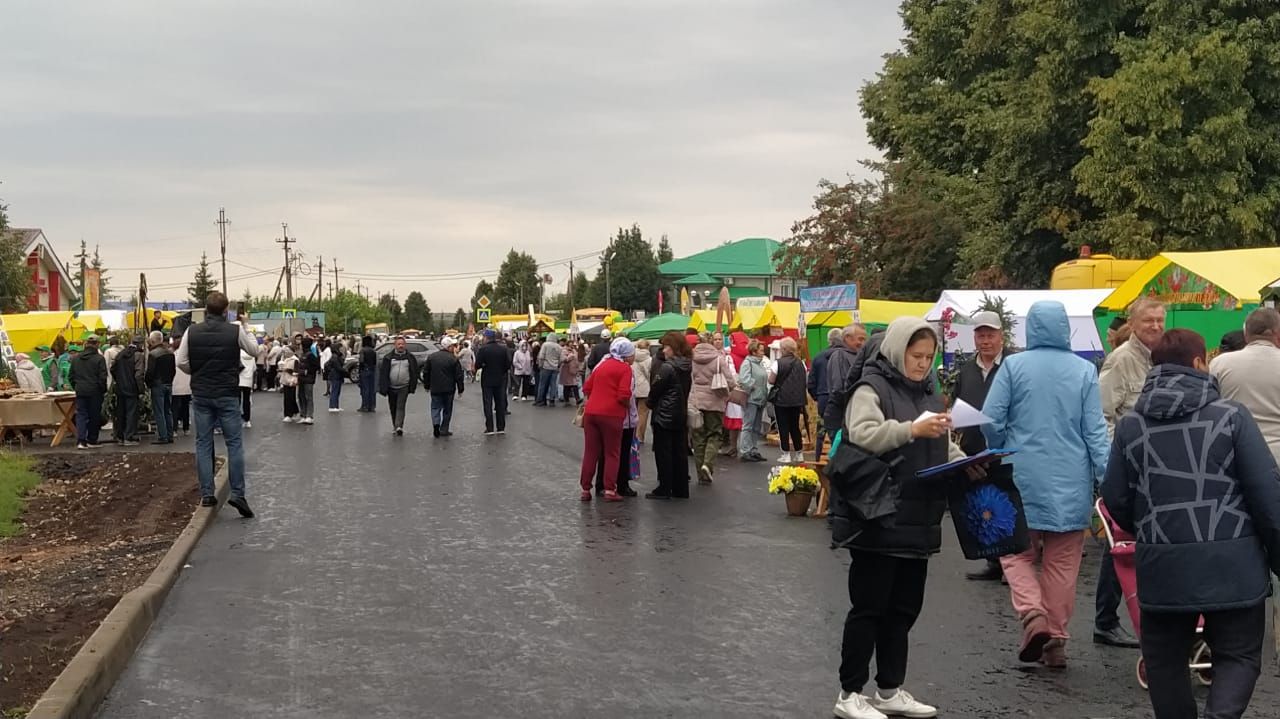 Арчада мәктәпләр ярминкәсе гөрли