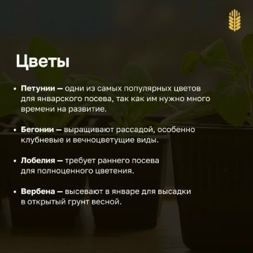 Гыйнвардан усемлекләрне утырта башласаң була