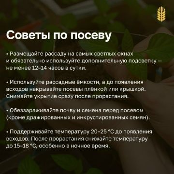 Гыйнвардан усемлекләрне утырта башласаң була