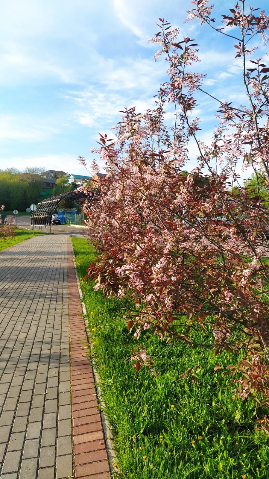 Казансу паркында