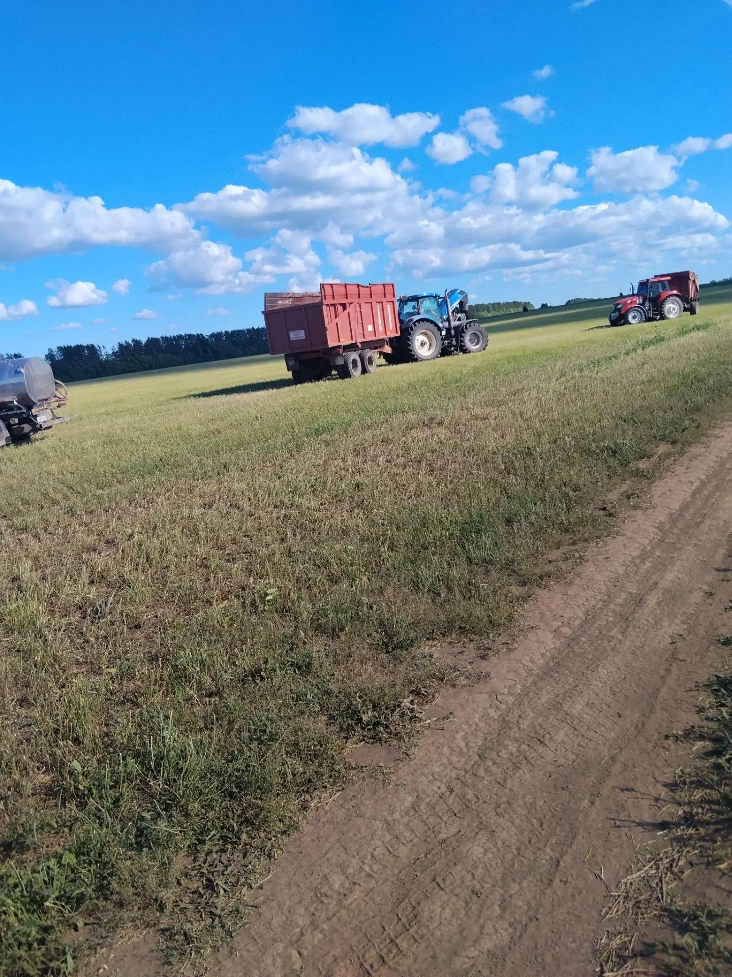 Арча районы авыл хуҗалыгы һәм азык төлек бүлеге җитәкчесе Айдар Рамазанов хуҗалыкларда азык әзерләү барышы белән танышты
