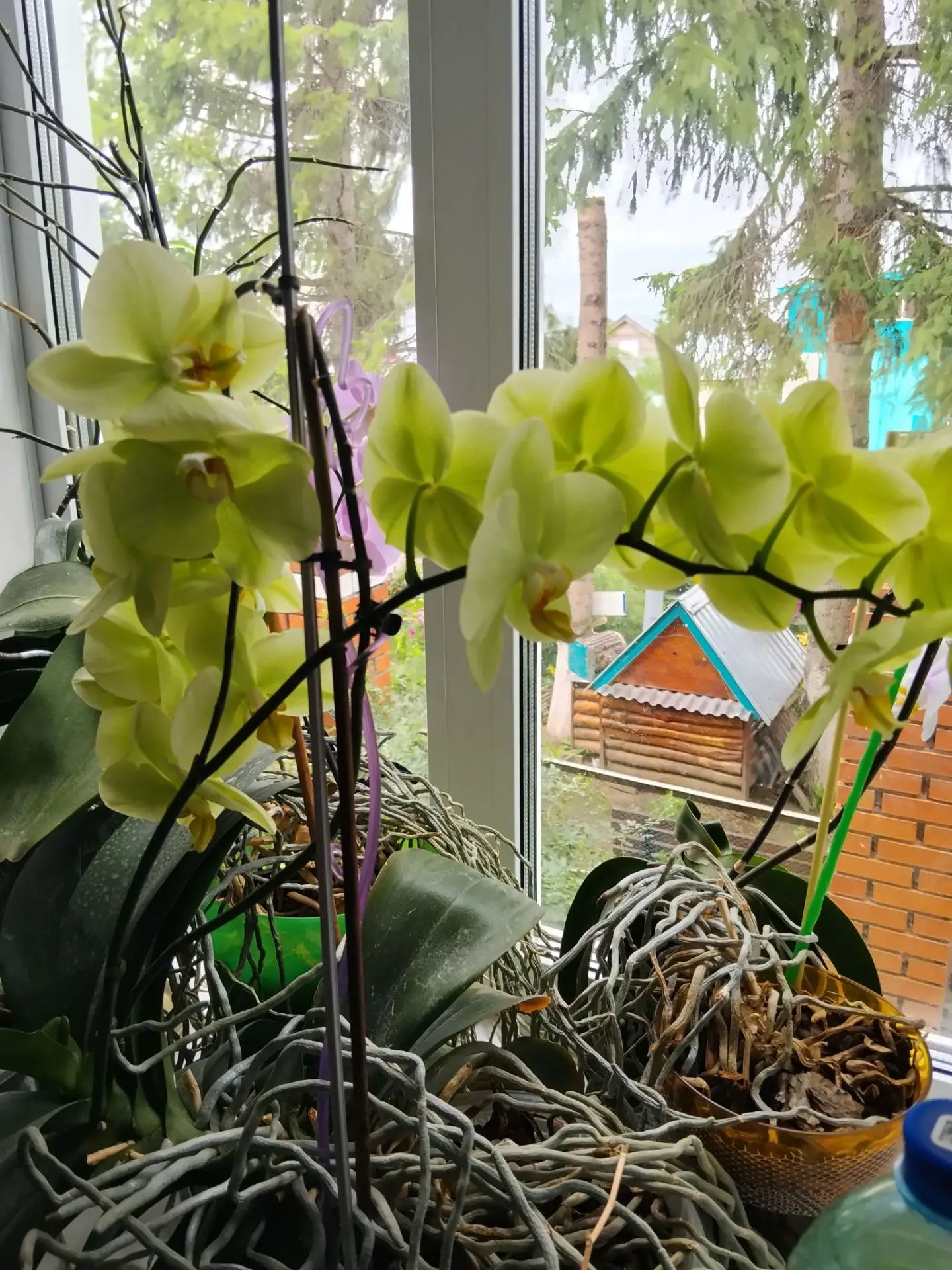 «Фотога төшү өчен генә дә киләләр»