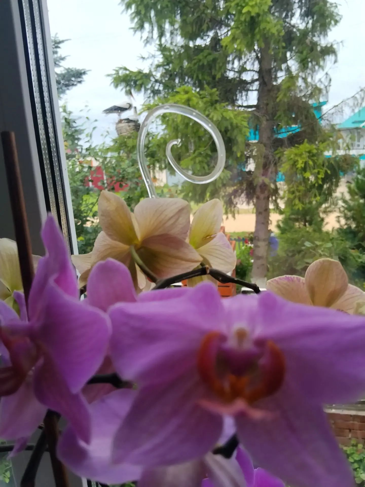 «Фотога төшү өчен генә дә киләләр»