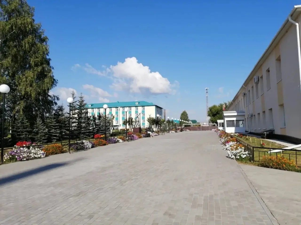 Татарстанда колледжларга укырга керү җиңеләйде: федераль эксперимент Арча агросәнәгать һөнәри көллиятендә дә гамәлгә ашырыла