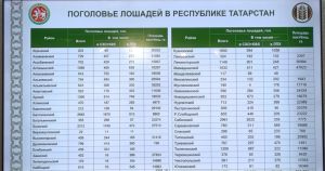 Атлар санын 1.5 тапкырга арттырырга