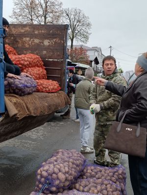Арчада ярминкә гөрли