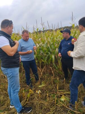 Район башлыгы авыл хуҗалыгы һәм инвестиция проектлары белән танышты