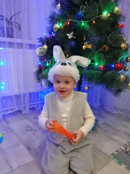 «Яңа ел бизәкләре» бәйгесендә Куян, Төлке һәм Пират җиңде