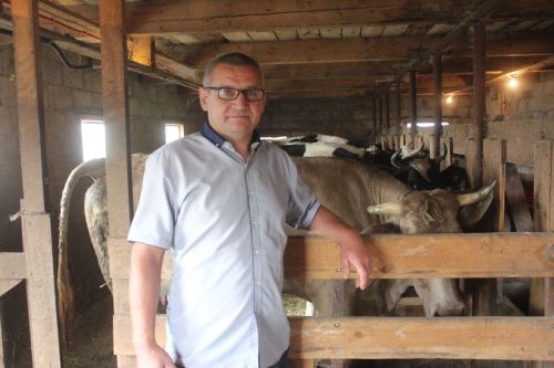 “Күрше кызлары курчак белән уйнаганда без печәнлектә печән таптый идек“