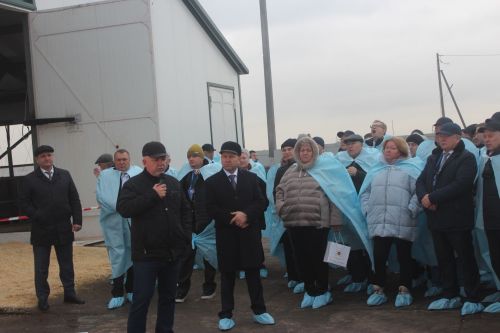 Россия ветеринарлары Арчага килде