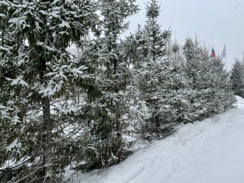 Февраль аенда Татарстанда нинди һава торышы көтелә?