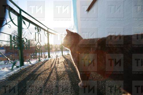 Синоптиклар киләсе атна башында +2 градуска кадәр җылытачагын әйтте