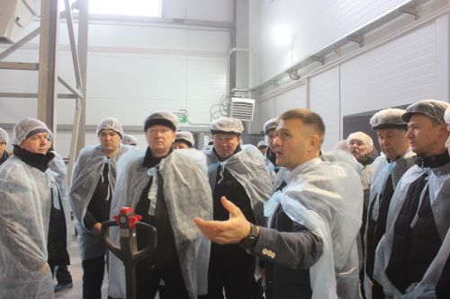 Хәлим Гарипов: «Өстәмәләрне бирә башлагач сөт биш литрга артты»