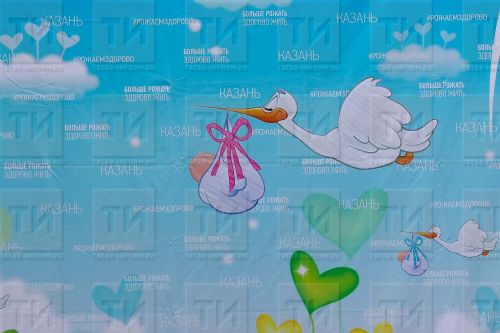 Танылган татар җырчысы икенче тапкыр әни булды