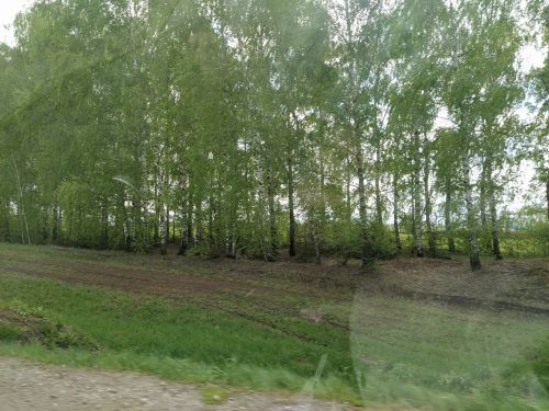 Синоптиклар кырау була, дип кисәтә