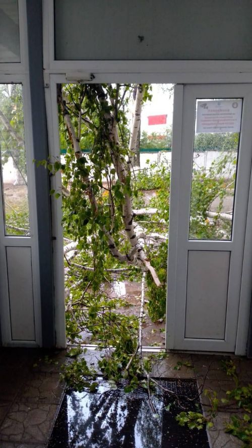 Боз яуган, җил агачларны аударган