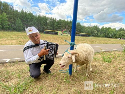 Гигант җәен тоткан балыкчы Медиа Сабантуй батырына бирелгән тәкәгә кызыга (бер әгъзасына) (»Интертат », Рәмис Латыйпов)