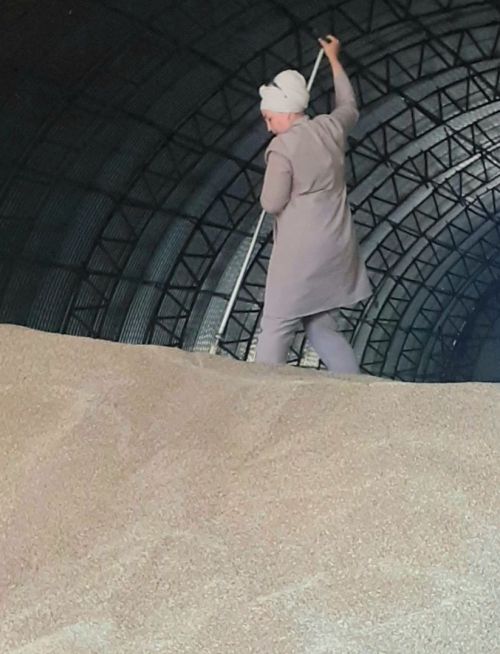 Чәчүлекләрнең беренче шытымнары каралды