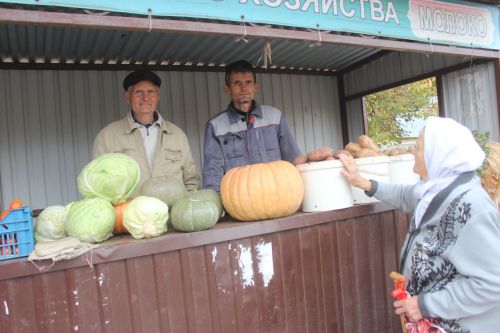 Арчада быел беренче көзге ярминкә