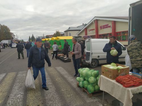 Арчада ярминкә бара