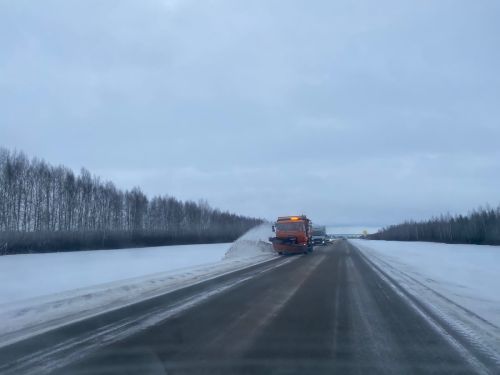 Без йоклаганда Арча юлчылары эшли