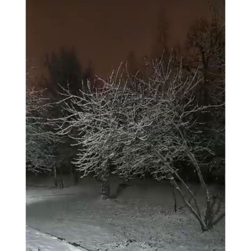 Күктән карлар коелды