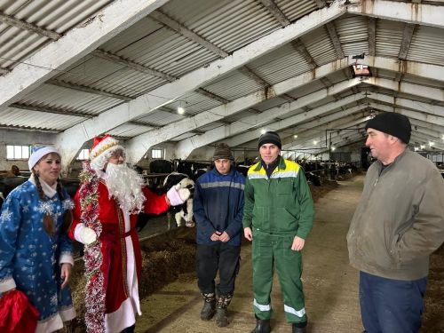 Кыш бабай белән Кар кызы фермага Яңа ел белән котларга килделәр