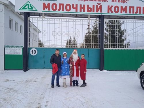 Кыш бабай белән Кар кызы фермага Яңа ел белән котларга килделәр