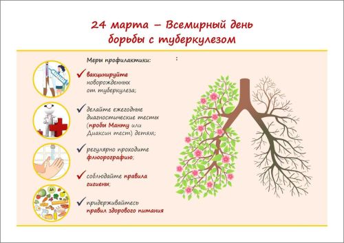 Белая ромашка - символ здорового дыхания