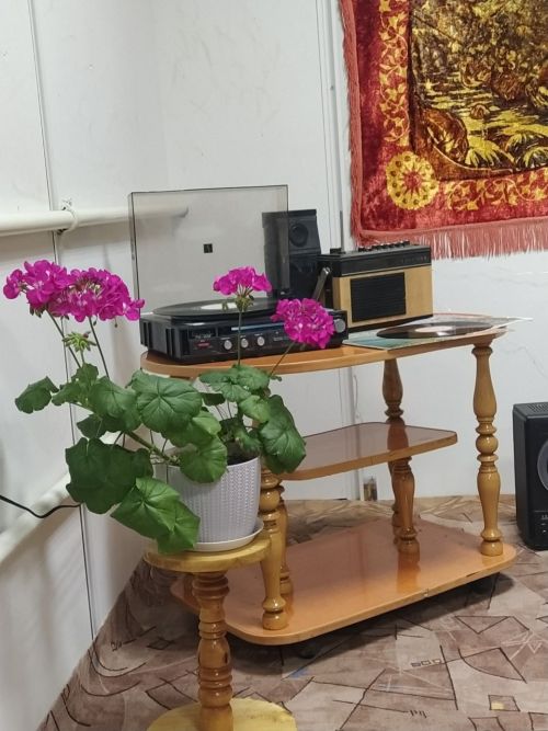 Арчада фатирник форматындагы әдәби-музыкаль чара узды